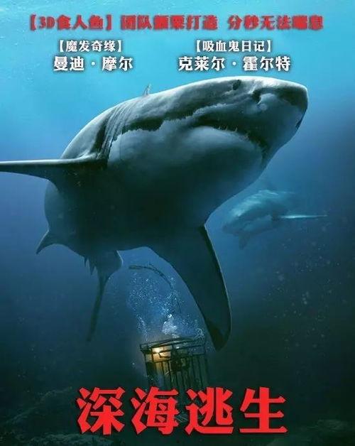 电影鲨滩在线观看,生死搏击，在线惊悚重现