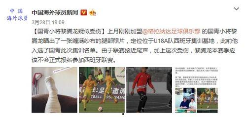 加拿大博主爆料新闻视频,惊人内幕曝光! 第2张 加拿大博主爆料新闻视频,惊人内幕曝光! 第2张