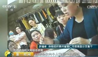 爆料大案二集视频完整版,惊心动魄的真相大揭露