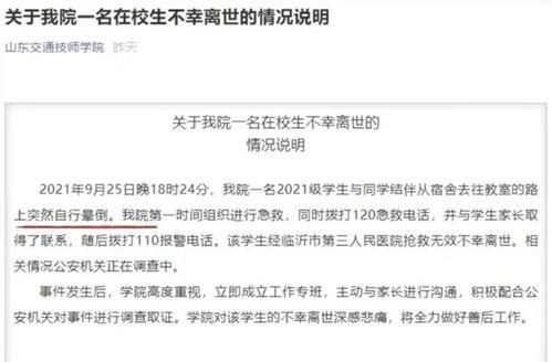河南技术学院爆料事件视频,揭开校园乱象的真相