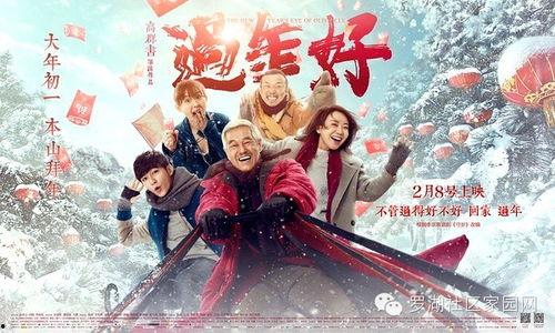 过年好在线观看,在线重温温馨团圆时光
