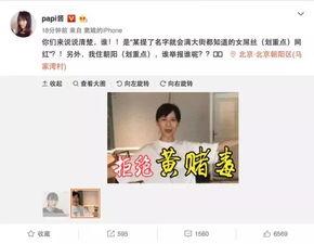 徐小平爆料视频全集下载,揭秘内幕与真实故事 第3张 徐小平爆料视频全集下载,揭秘内幕与真实故事 第3张
