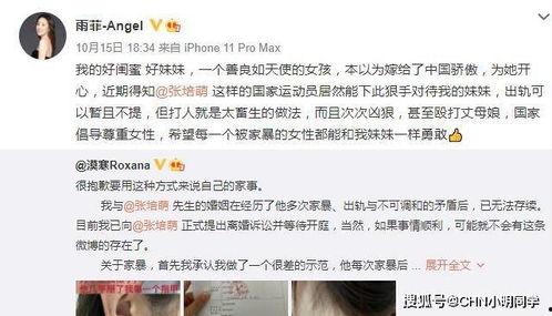 视频聊天爆料违法吗,法律边界与道德考量  第3张