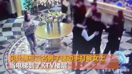 番禺都市爆料事件视频全集,视频全集揭秘事件真相