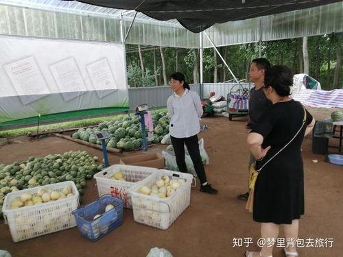 武汉吃瓜最新事件爆料新闻,揭秘幕后真相与网络热议