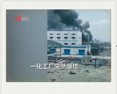 衡州化工厂爆料视频大全,揭露真相与争议瞬间  第2张