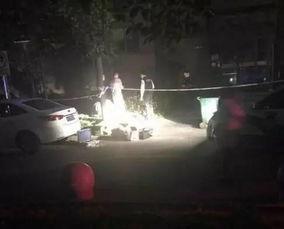 网友爆料坠楼视频大全下载,惊心动魄的坠楼视频大全，揭秘生死瞬间