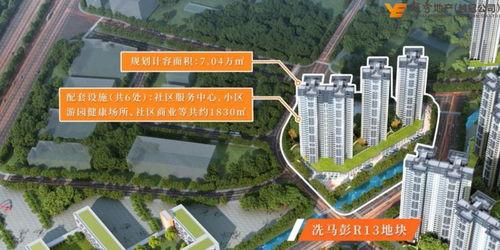 安远碧桂园爆料最新消息,项目动态及进展全解析  第3张