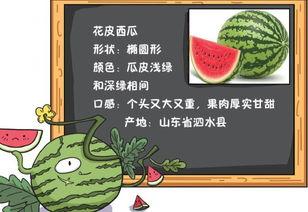 穿越侯府吃瓜免费阅读,穿越女吃瓜记