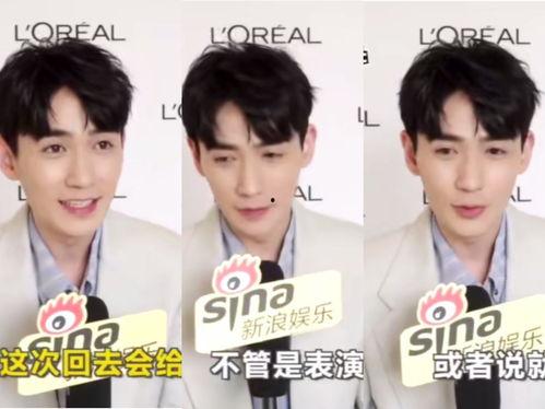 外网爆料男星视频合集,揭秘男星视频合集背后的真相
