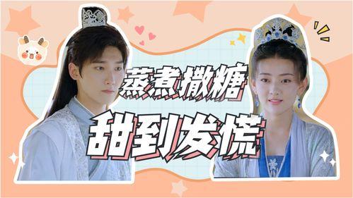 双北cp圈内人爆料小说,圈内人爆料背后的小说世界  第3张