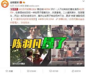 王轮最新爆料视频大全,揭秘幕后真相，热点事件全解析