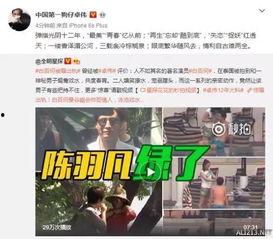 娱乐大爆料卓伟视频大全,揭秘娱乐圈幕后真相