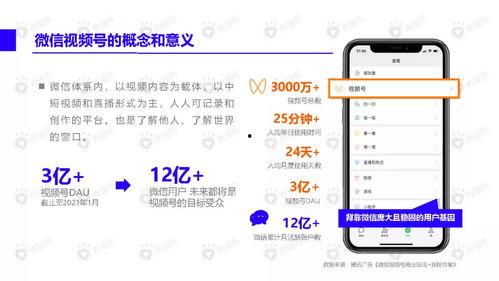 芬迪老婆爆料视频大全下载,揭秘背后惊人真相  第3张