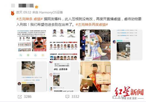 近期网红爆料新闻视频,近期热门新闻视频幕后真相揭秘  第3张