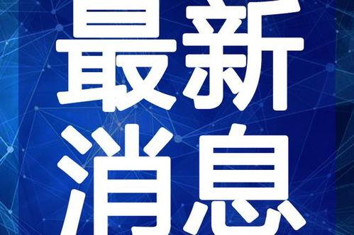 吴迪阿迪最新爆料视频,独家内幕大公开