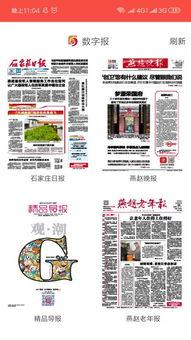 石家庄新闻爆料联系,揭秘某重大事件背后真相  第3张