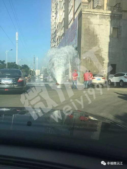 沅江新闻爆料事件有哪些,揭露真相与舆论风暴的交织