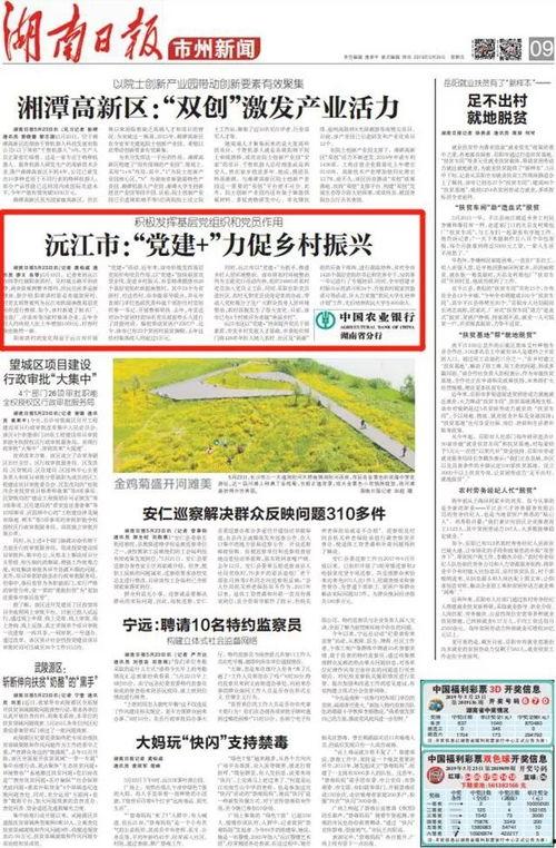 沅江新闻爆料事件有哪些,揭露真相与舆论风暴的交织  第3张