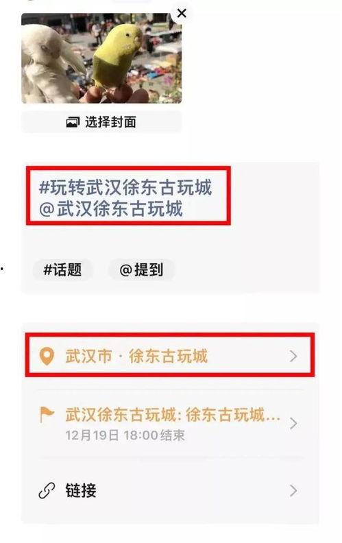 拍视频发爆料赢奖金,见证时代变迁的全民行动  第2张