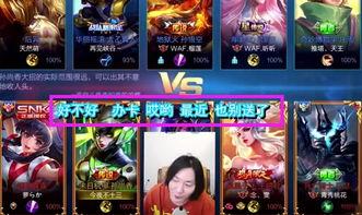 仙儿王者爆料视频大全集,揭秘游戏幕后精彩瞬间  第2张