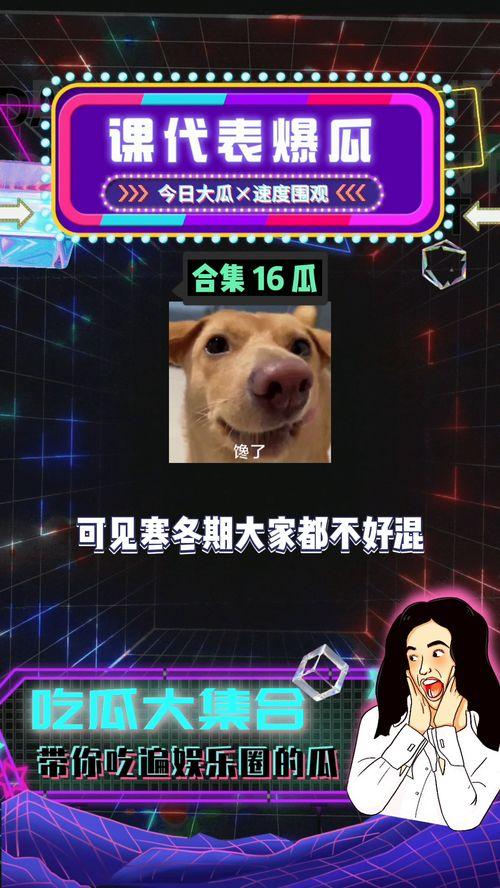 八卦吃瓜免费网站大全视频,海量视频资源一网打尽  第3张