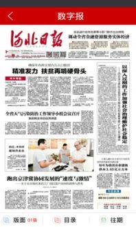 河北省今日实时爆料新闻,今日实时爆料新闻盘点，热点事件追踪！”