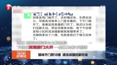 安徽公共频道新闻爆料,揭秘某重大事件背后真相  第2张