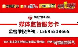 安徽公共频道新闻爆料,揭秘某重大事件背后真相  第3张