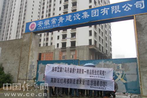 隆平高科最新爆料信息,创新成果与未来农业发展蓝图  第2张