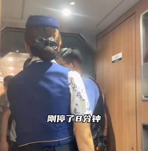 高铁厕所8分钟在线观看,揭秘现代出行便利背后的秘密