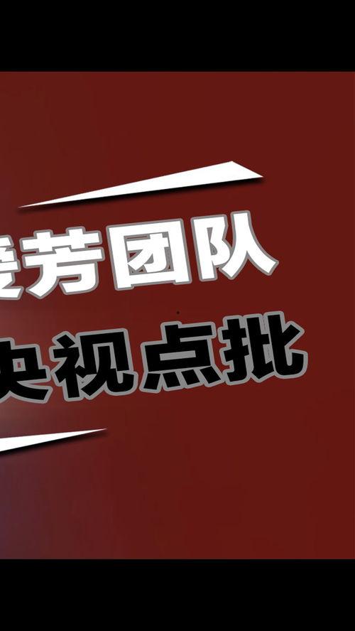 曙光团队爆料视频大全集,揭秘幕后真相与精彩瞬间  第2张