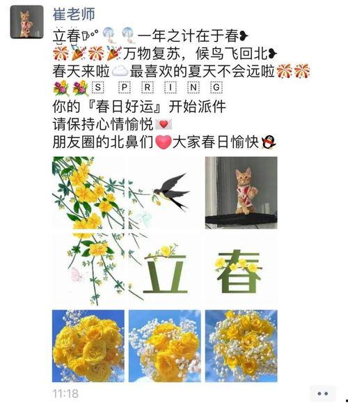 少女吃瓜日记免费阅读,揭秘娱乐圈幕后故事
