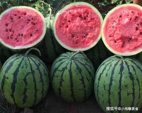 718娱乐吃瓜爆料不打烊,吃瓜不打烊，娱乐圈幕后故事大揭秘  第2张