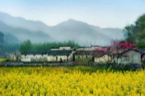 江西婺源热点爆料案件视频,真相揭晓，疑云散去