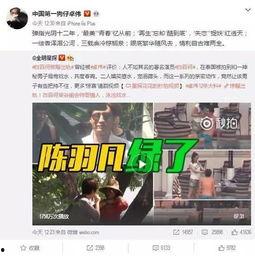陈赫二姐爆料视频播放在线观看,揭秘娱乐圈不为人知的一面  第2张