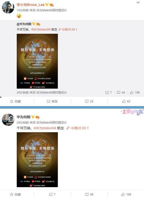 爆料视频模板,爆料视频背后的惊人真相，独家解析！  第2张