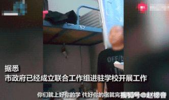 四川某高校视频爆料案,真相与争议的交织
