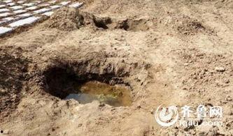蒙阴县最新爆料信息网,揭秘当地热点事件与民生动态  第2张
