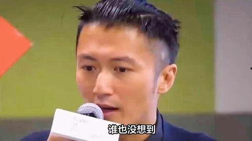 娱乐圈最新爆料谢霆锋,娱乐圈再掀波澜  第2张