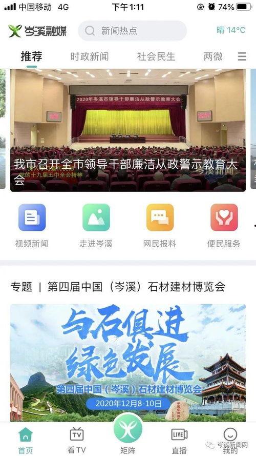岑溪爆料新闻,聚焦民生热点，揭示社会现象