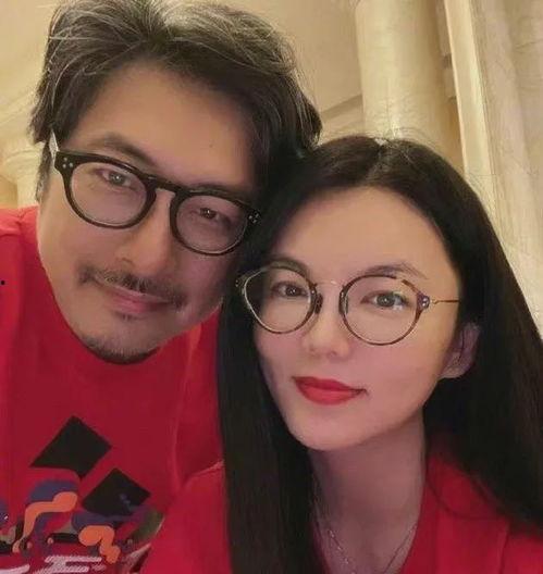 李湘娱乐圈爆料视频播放,揭秘明星幕后真相  第3张