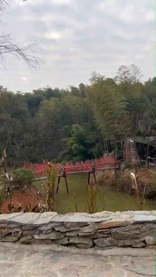 花溪新闻爆料最新情况,事件进展及最新动态揭晓