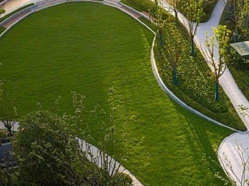 临平公园爆料视频,绿意盎然中的生活画卷