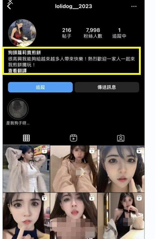 辣眼视频爆料网站在线观看,揭秘网络热点背后的真相