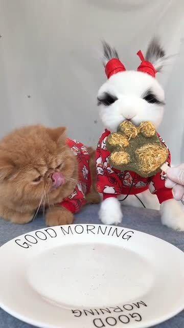 吃瓜小熊姐姐在线观看免费,免费在线观看，揭秘娱乐圈幕后故事