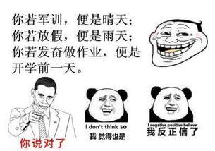 爆料素材搞笑视频无水印,揭秘搞笑视频幕后花絮  第3张