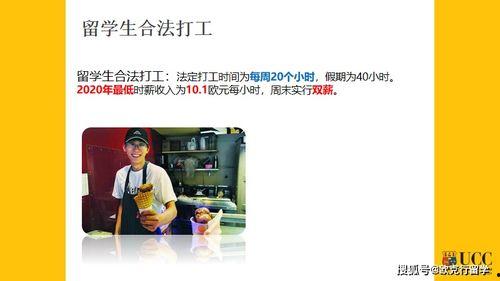 今日爱尔兰爆料,揭秘今日热点事件背后的真相  第3张