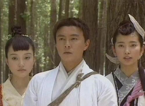 少年张三丰在线观看,武侠奇缘，少年英雄的成长传奇  第2张