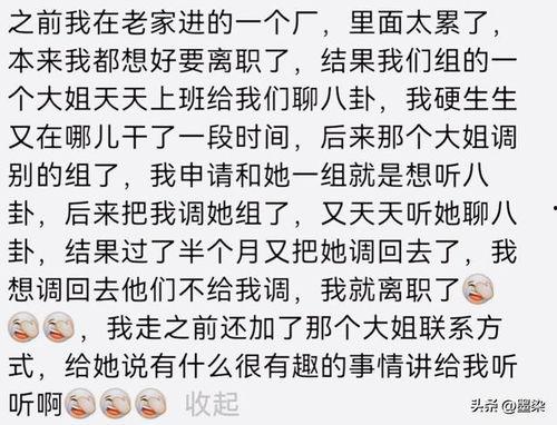 八卦吃瓜爽文小说免费阅读,吃瓜爽文，揭秘娱乐圈背后的秘密  第3张